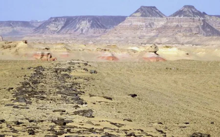 Journey to Ancient Egypt: The 4,600-Year-Old Road to Giza Pyramids Explained