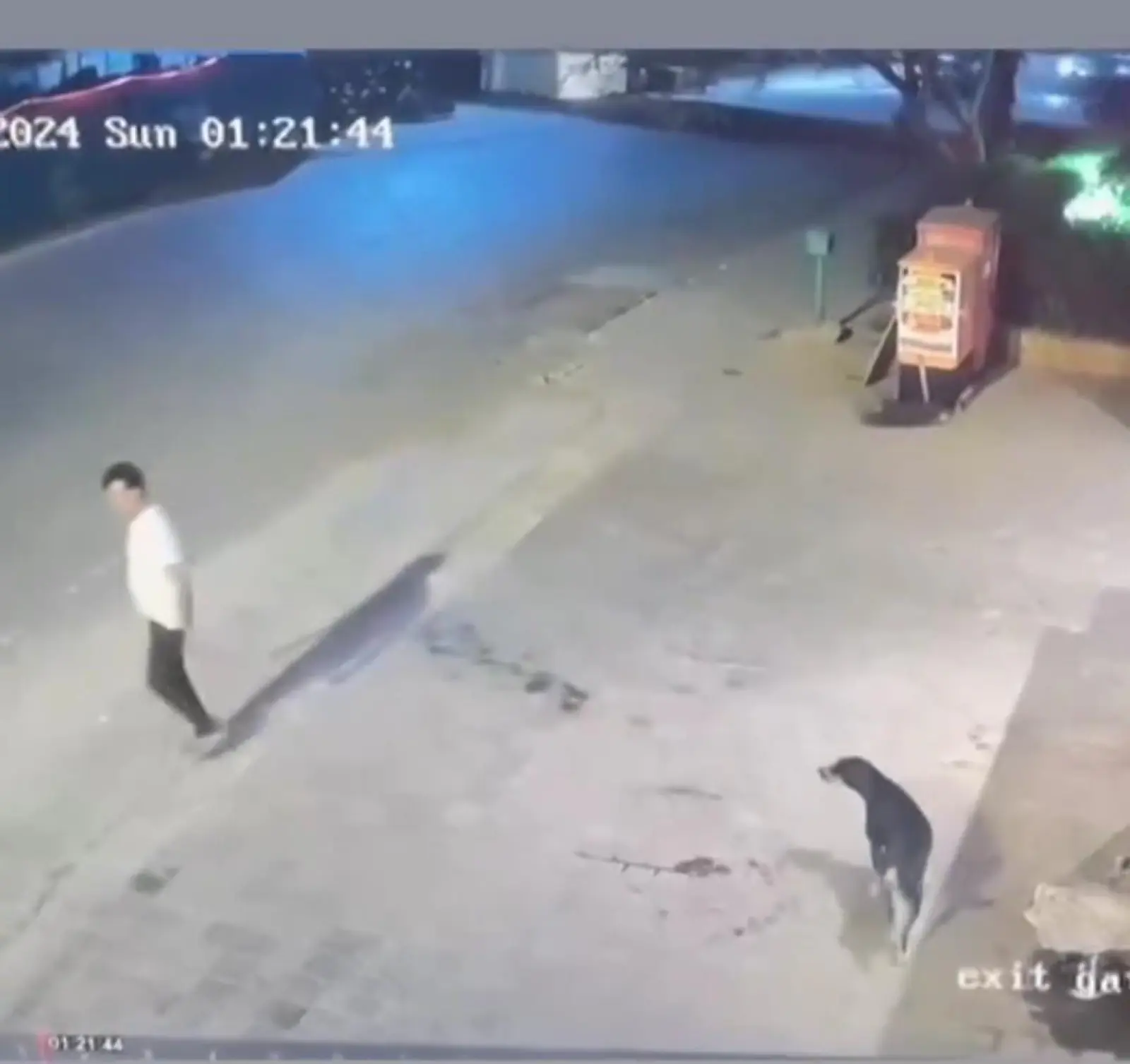 Alleged Dog Lovers Target Innocent Man Jayesh Desai Over Street Dog Incident