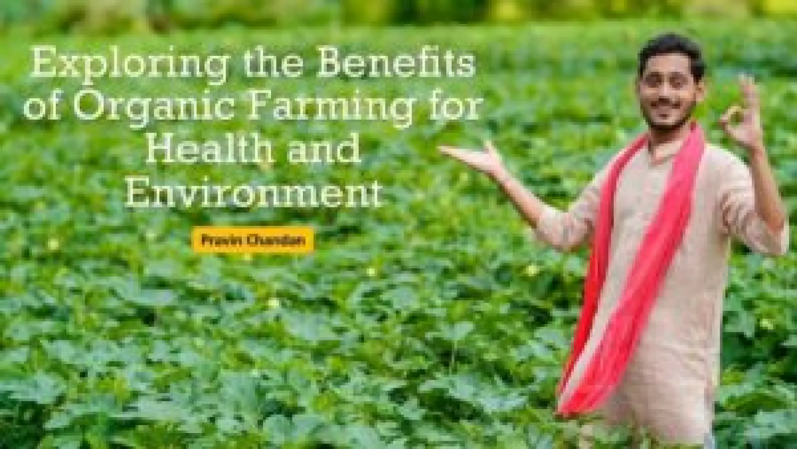 Exploring the Benefits of Organic Farming for Health and Environment