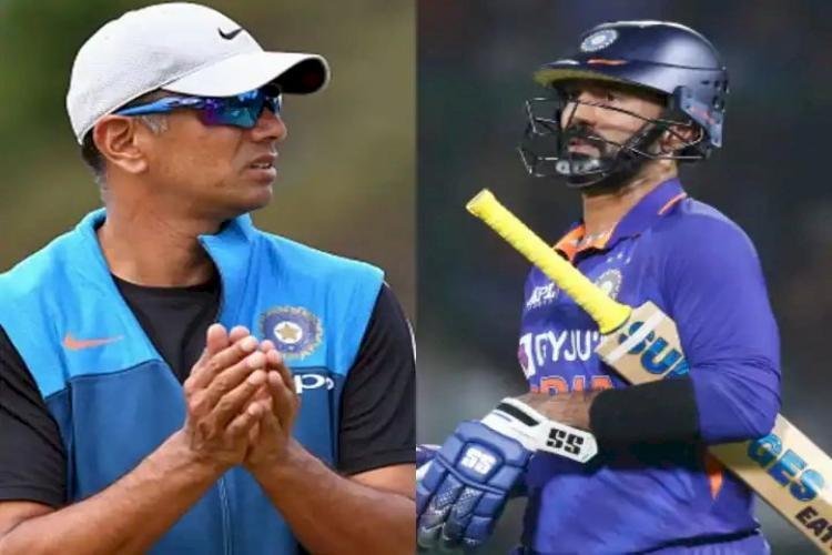 Whether Dinesh Karthik Will Play In T20 World Cup, Coach Rahul Dravid Clarified