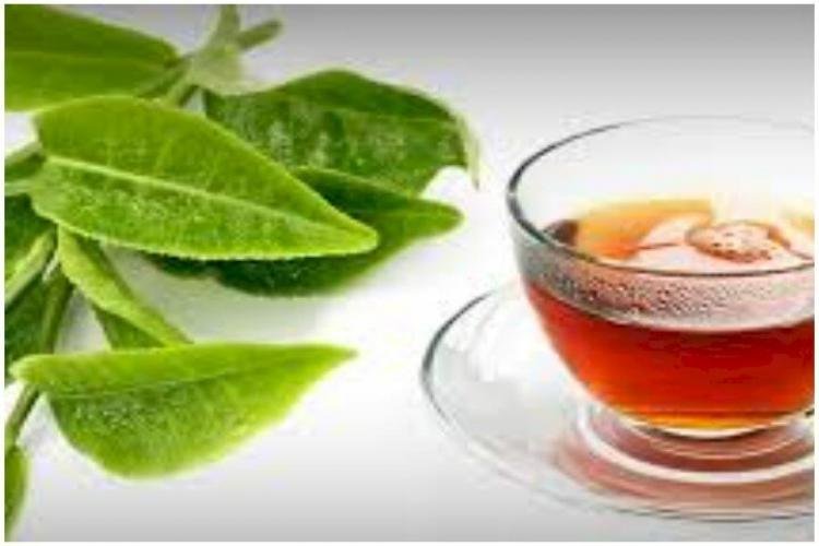 To Strengthen Your Health, Consume Tea Made From Guava Leaves, Make A Drink Like This