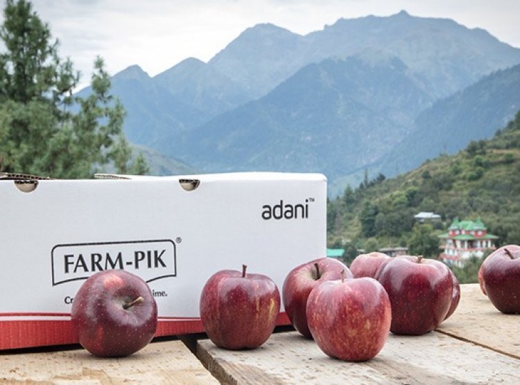 Himachal Pradesh farmers sell 7,500 tonnes of apples to AAFL