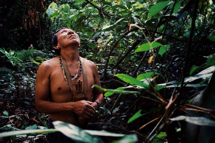 World's only person died in Brazil: 26 years spent in the jungle; was the last member of his clan