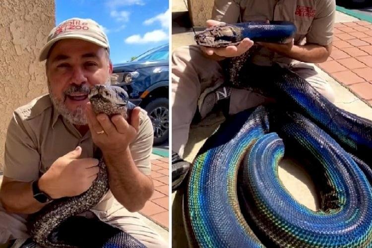 Python Video: 'Rainbow Python' Seen In Man's Lap, People Were Surprised To See The Beauty