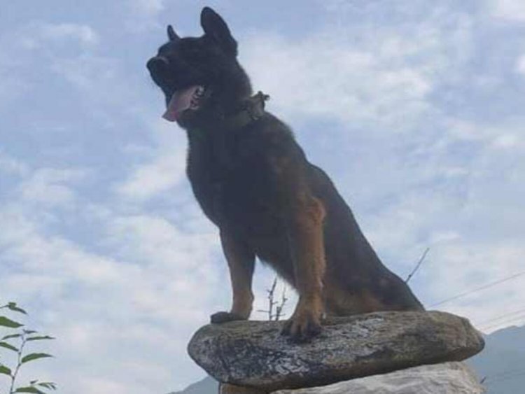 Tribute to Army Dog Zoom Officers-fellow Dogs; Helped to kill 2 terrorists