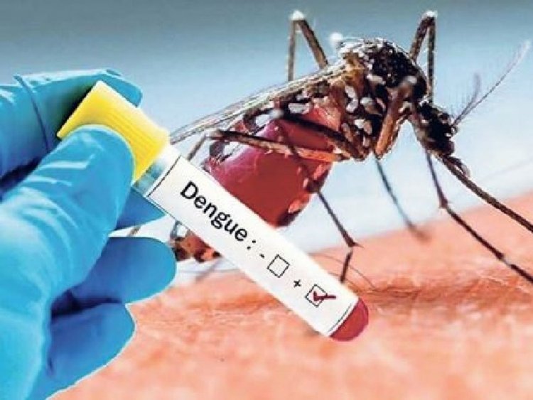 16 people died in 7 days due to dengue in Jaipur, SDP demand increased three times