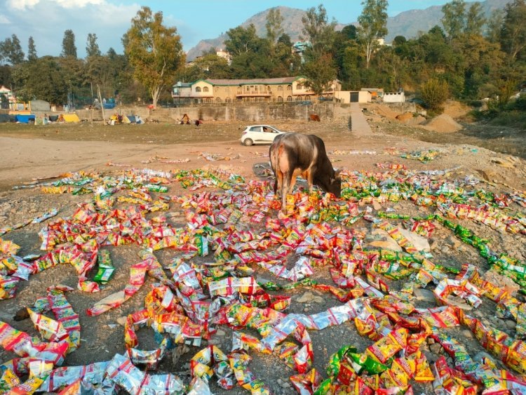 Thousands of chip packets of expiry date thrown on the banks of Govind Sagar lake, CCTV footage will be searched