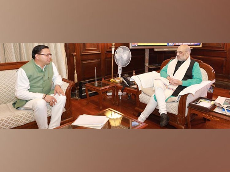 Cracks in 849 houses in Joshimath: CM Dhami meets Amit Shah