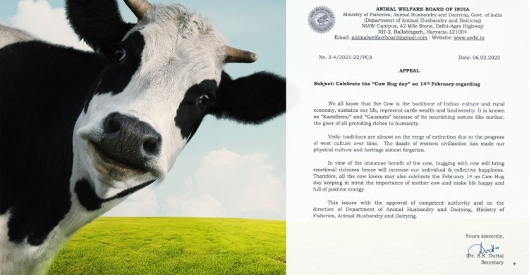 Government's appeal- Celebrate Cow Hug Day on February 14