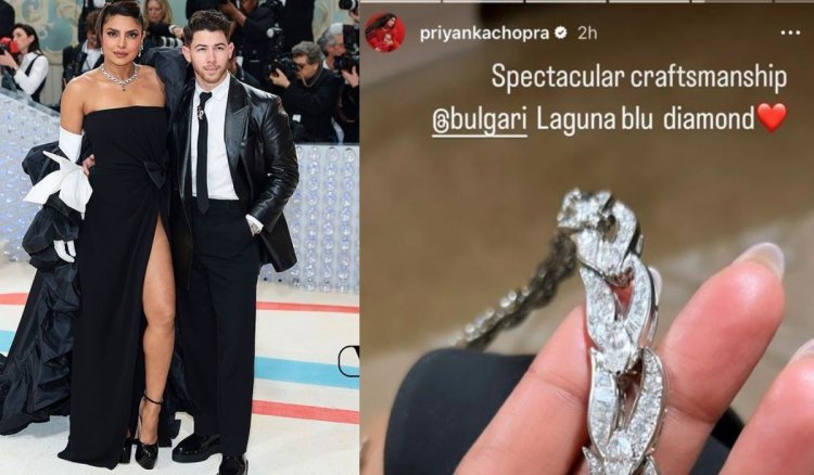 Priyanka Chopra's diamond necklace attracted attention at Met Gala 2023, the actress arrived wearing a necklace worth 204 crores
