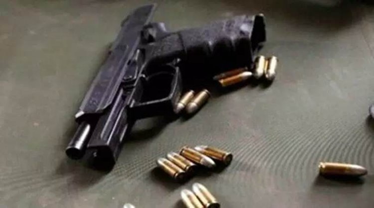 Licensed revolver-cartridge stolen in Jaipur: driver-servant kept in new house, disappeared after shift