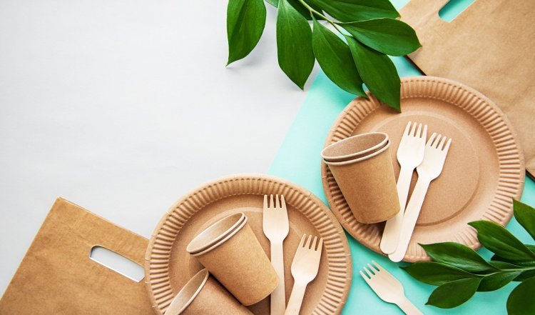 BIS brought quality standards for biodegradable food utensils, now cutlery makers will have to do this work