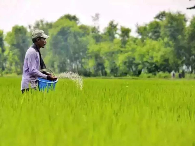 In three years, crops will start getting 100 percent indigenous fertilizers, there will be no need to import
