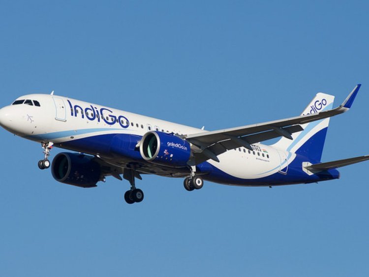 IndiGo earns record Rs 3,090.6 crore profit in Q1, highest ever quarterly total income