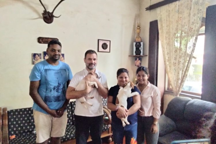 Rahul Gandhi was on a private tour of Goa, returned to Delhi with a puppy of Jack Russell Terrier breed