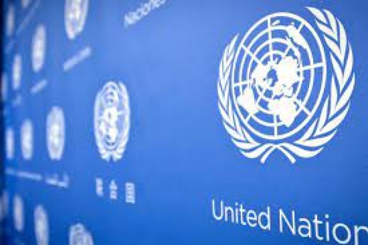 United Nations: NATO capability weapon reaching terrorist organization ISIL-K, United Nations expressed concern