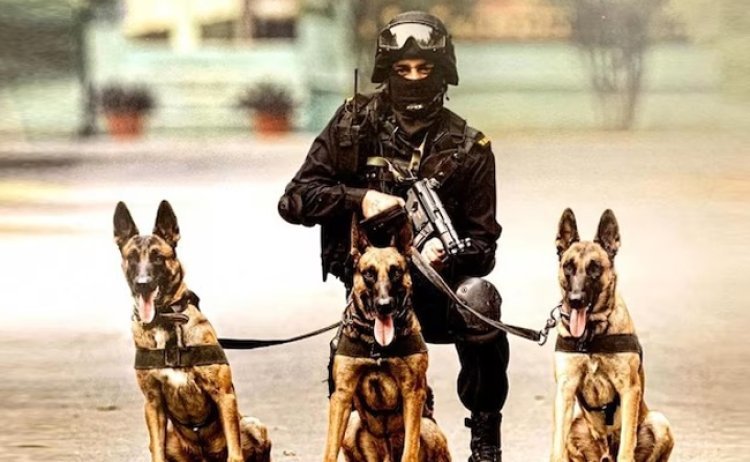 Indian breed dogs will soon be deployed on police duty, Home Ministry issued special order