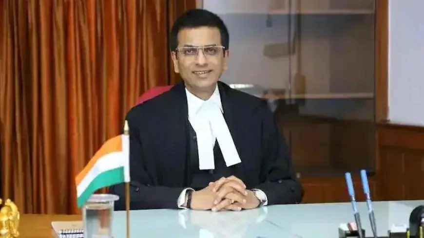 'Supreme Court should not be made a 'date after date court', CJI DY Chandrachud made a special request to the members of the bar