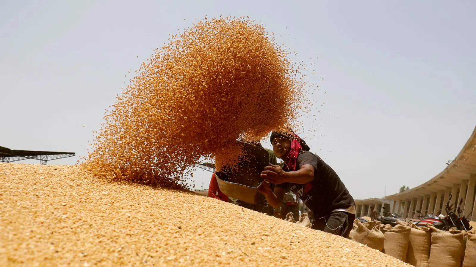 Due to better crops, wheat production is expected to be a record 114 million tonnes, good temperature will increase the pace