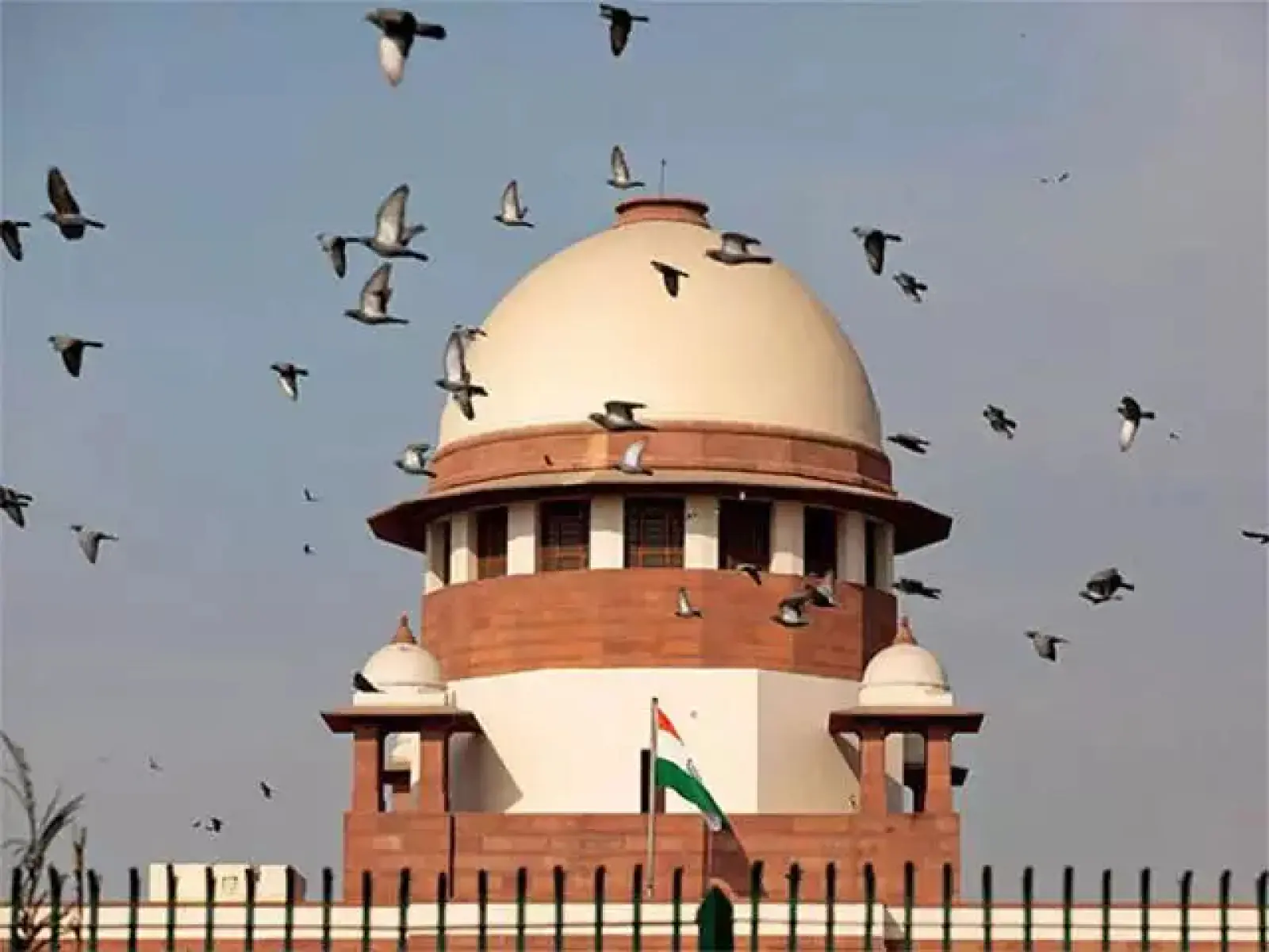 Deaths across the country due to use of pesticides in crops? Supreme Court seeks response from Center on petition