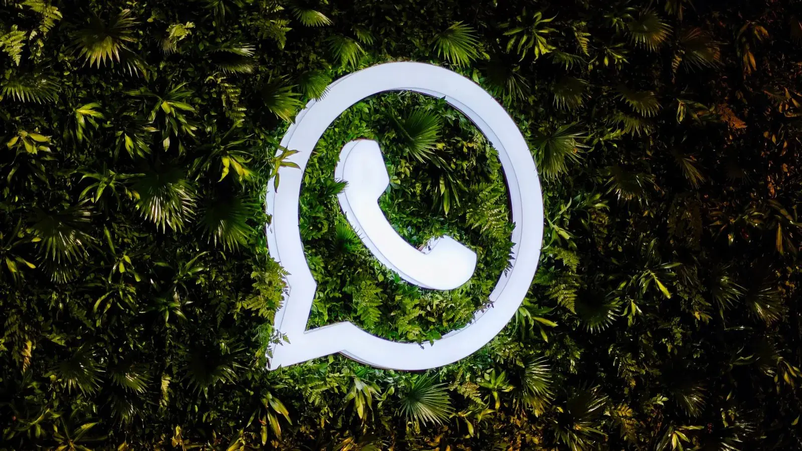 WhatsApp Update: Now you can reply to photos and videos in a new way, beta testing is happening