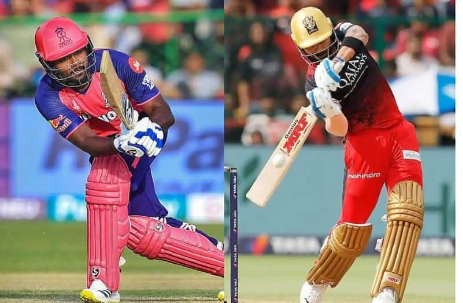 RR vs RCB Pitch Report: Rajasthan and RCB clash in the eliminator today, know the pitch report