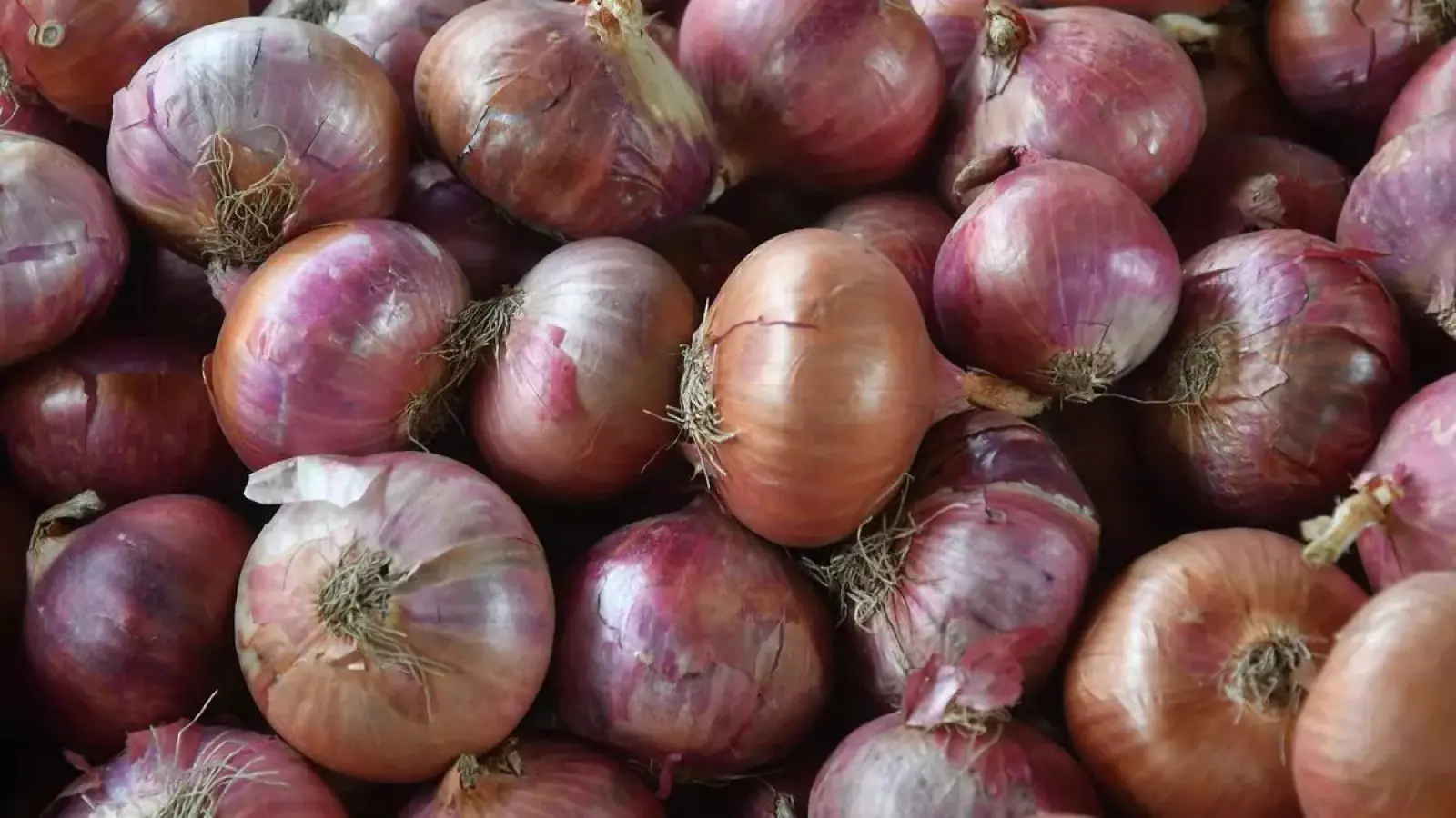 Effort to preserve onion for a long time, government is taking this big step