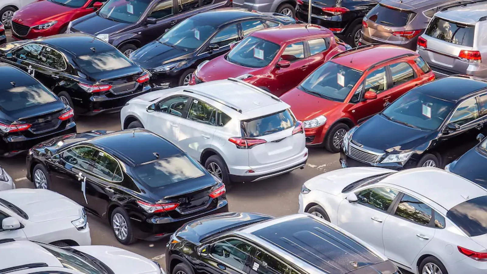 Domestic passenger vehicle retail sales grew 4% in May, SIAM released data