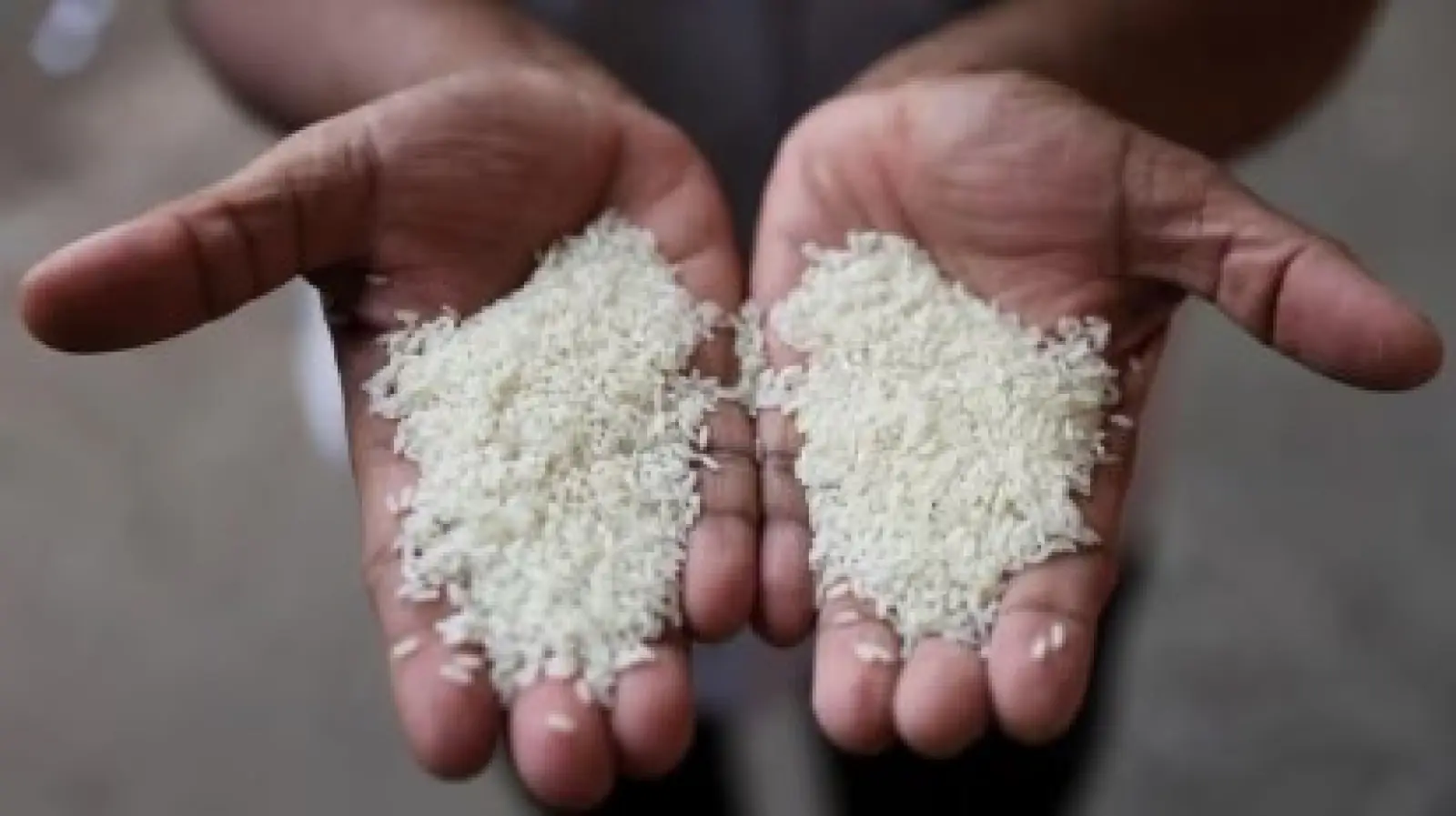 Government of India shall export 2000 tonnes of non-basmati rice to these nations.
