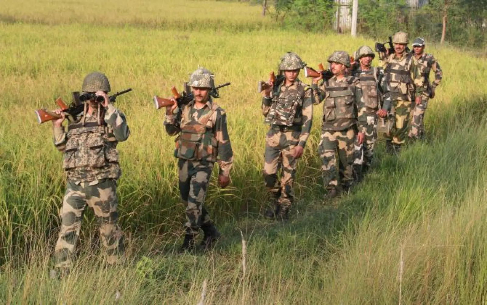 BSF foils cattle smuggling on India-Bangladesh border, miscreants escape after fatally attacking a jawan