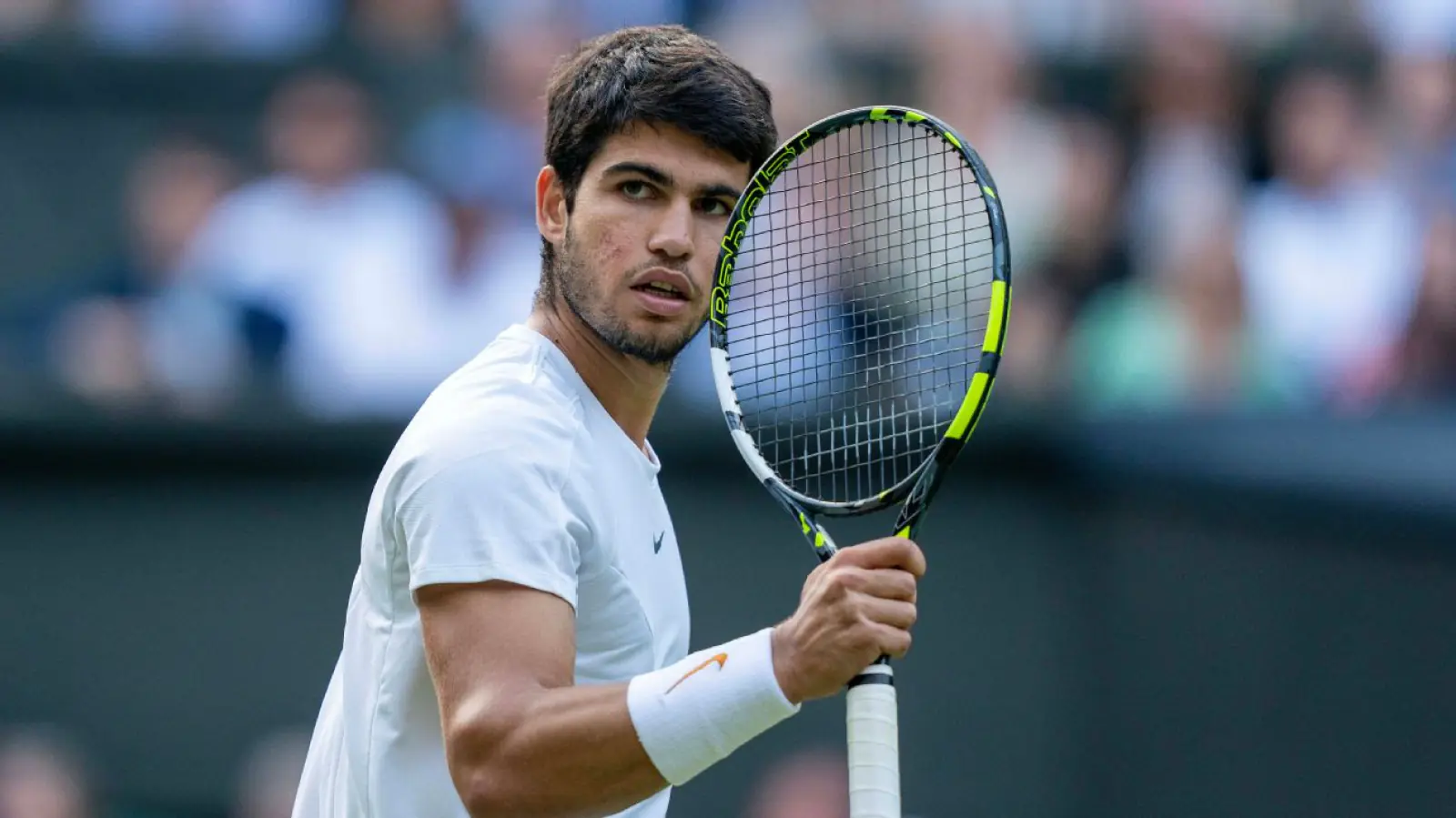 Wimbledon Tennis: Champion Alcaraz's first-round path is very easy