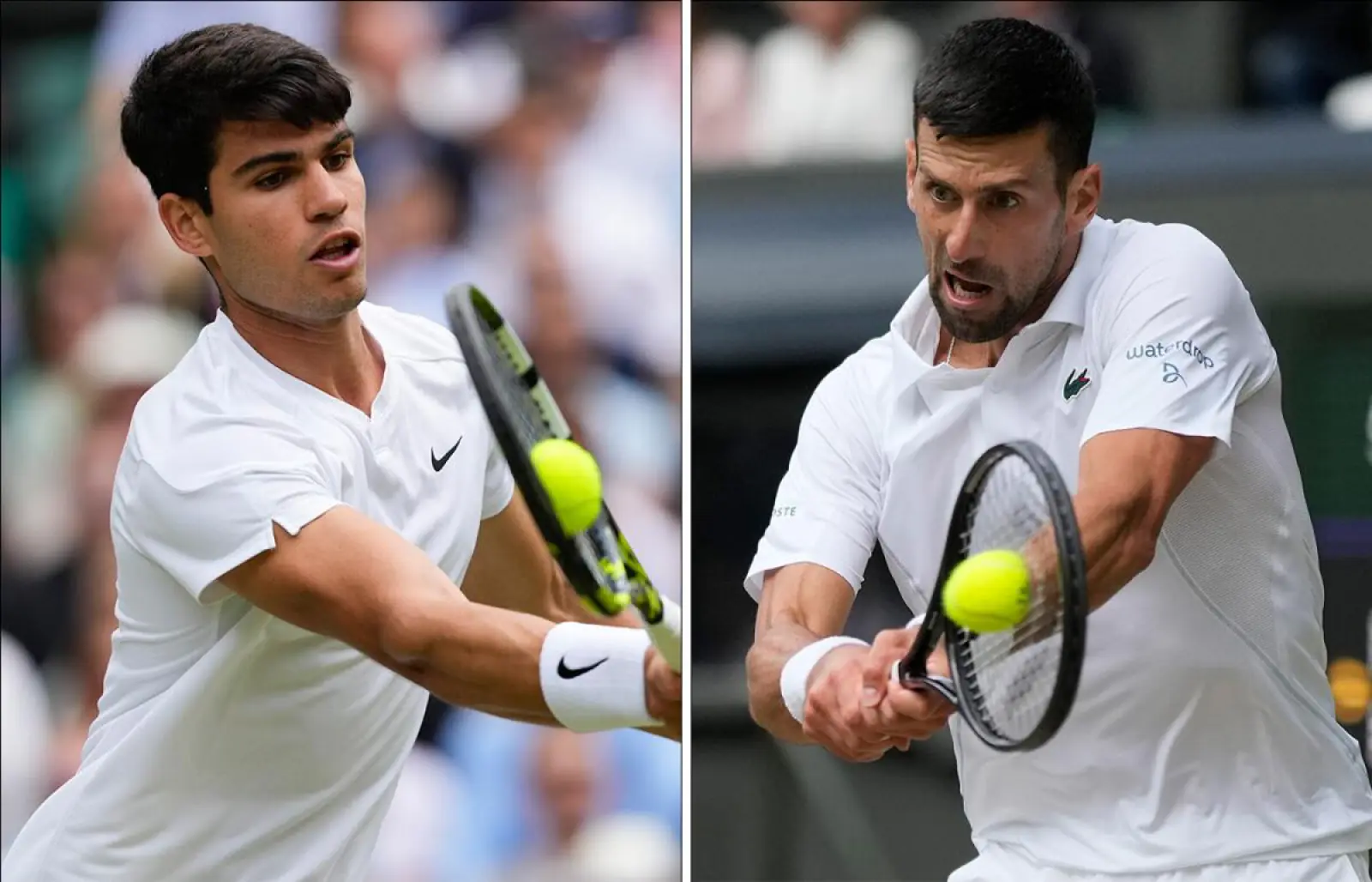 Wimbledon 2024: Novak Djokovic enters the final, will face defending champion Alcaraz