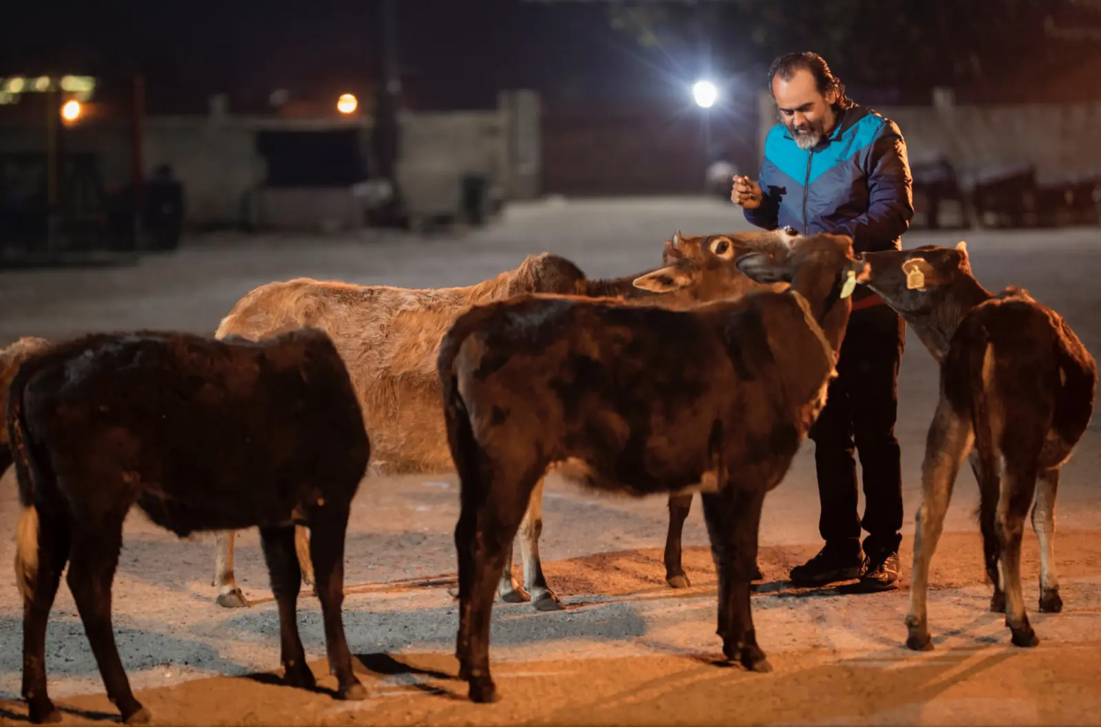 From Self-Inquiry to Compassionate Living: The Vedanta-Veganism Connection by Acharya Prashant