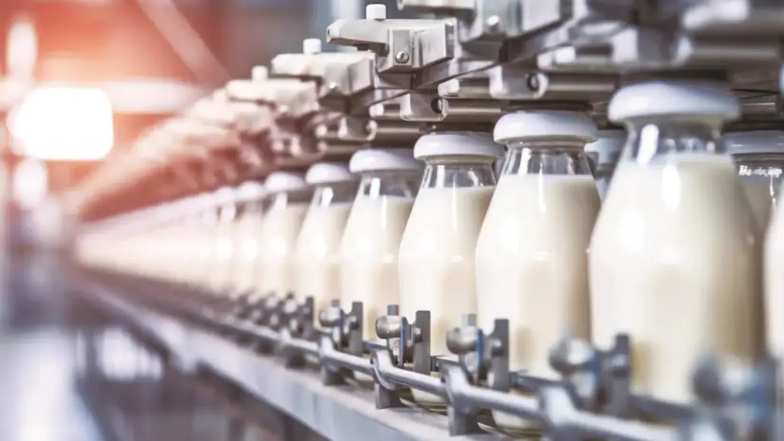 Dairy industry revenue expected to grow by 13-14% due to strong demand, increased supply of raw milk