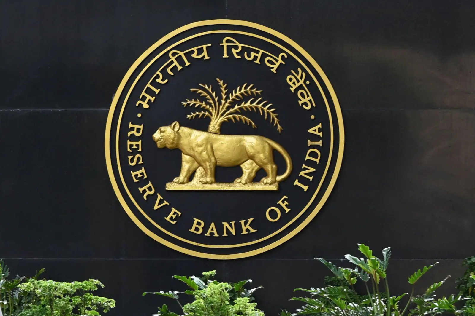 RBI issued draft guidelines to prevent digital fraud, public can give their opinion till August 31