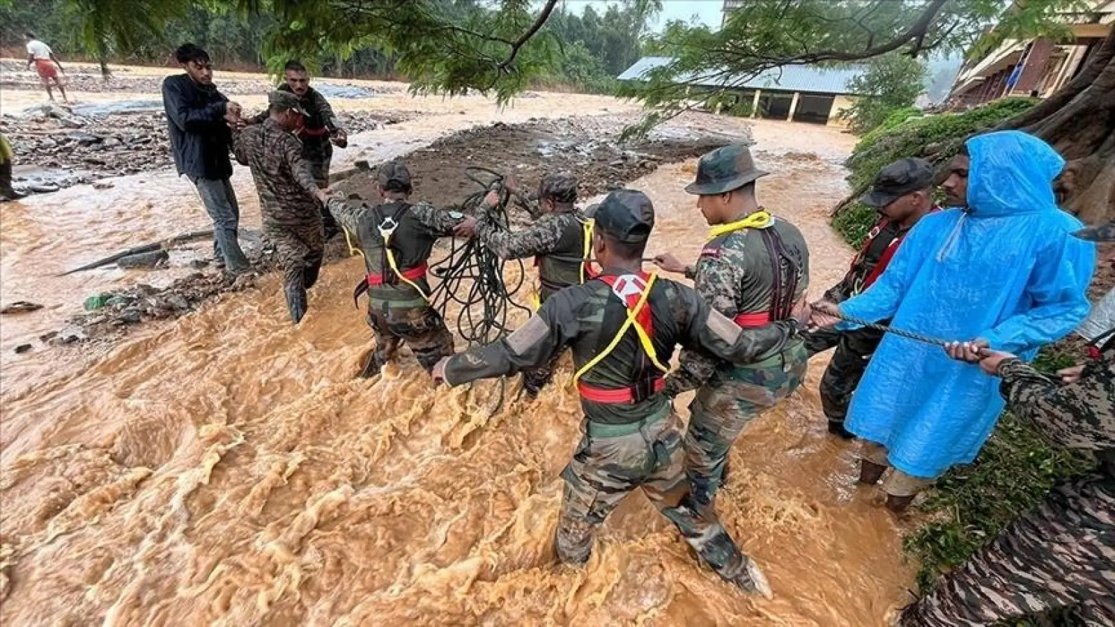 Wayanad Landslide: 215 bodies including 30 innocent children recovered, 206 lives still in limbo, 1419 personnel put in their efforts; Know more