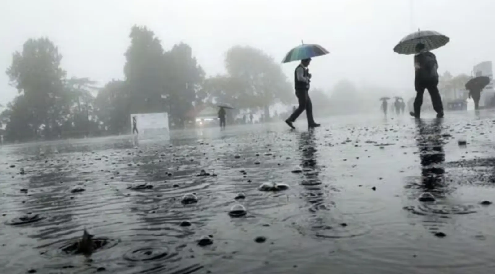 Heavy rain alert in 13 districts of Tamil Nadu, clouds will rain in 10 states including Delhi-UP today