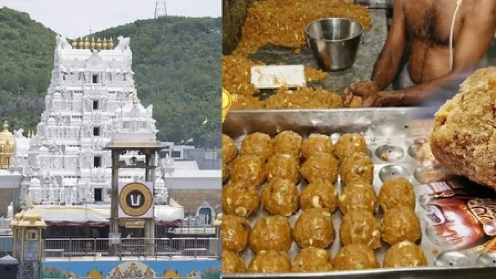 Big action against those who spread rumors of the use of 'Amul Ghee' in Tirupati's laddus, FIR registered against 7 people