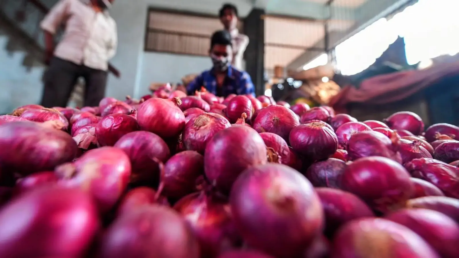 Government worried over rising onion prices, takes special steps to control prices