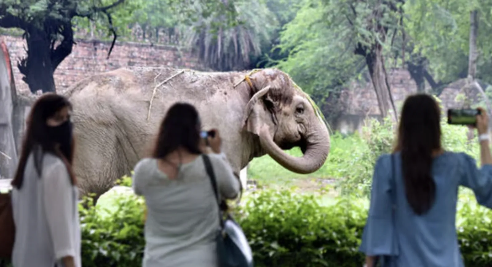 Famous zoos of India are known as Best Tourist Spots that are must visit with children