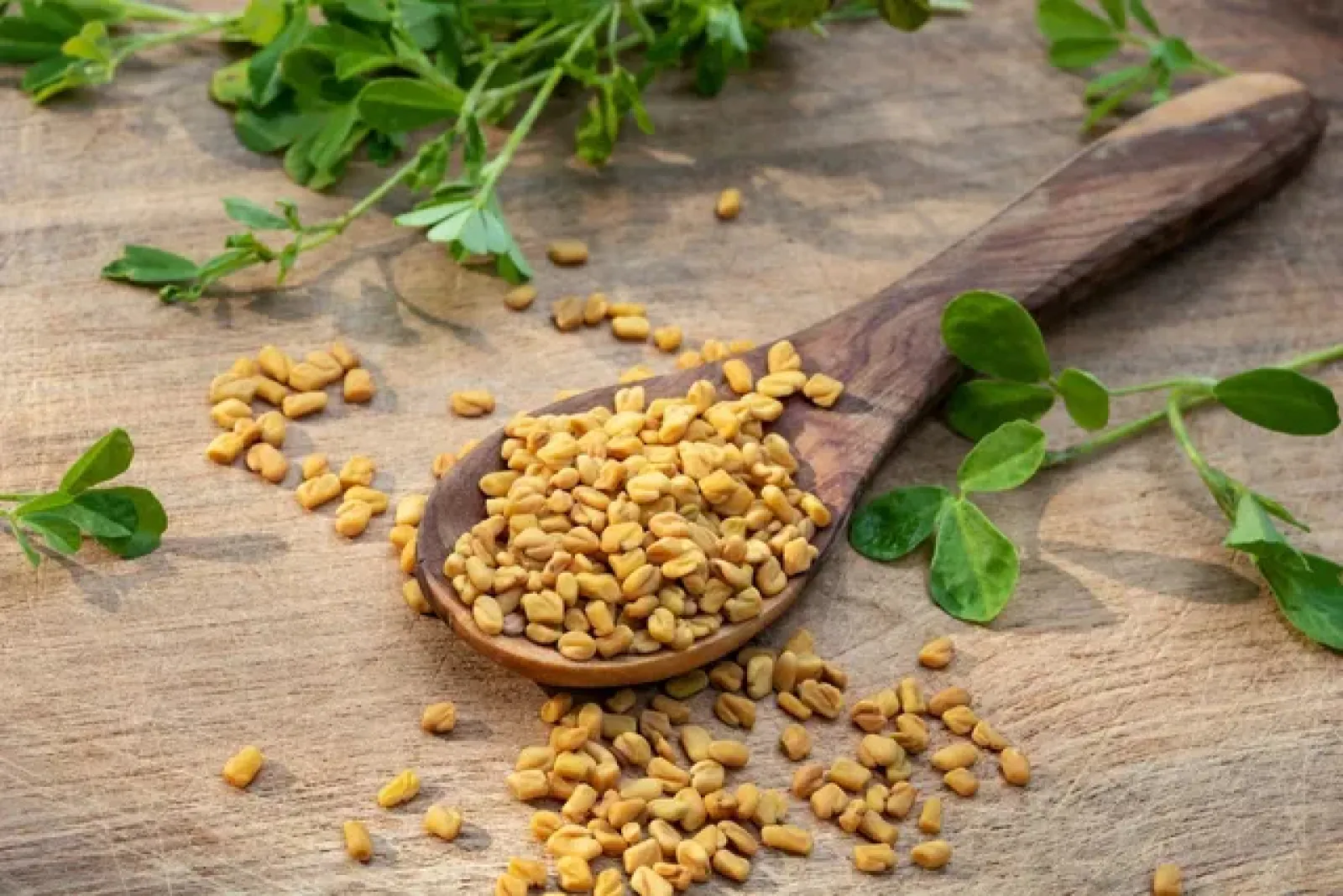 Along with weight loss, eating fenugreek greens also provides relief from cough and cold; Know more