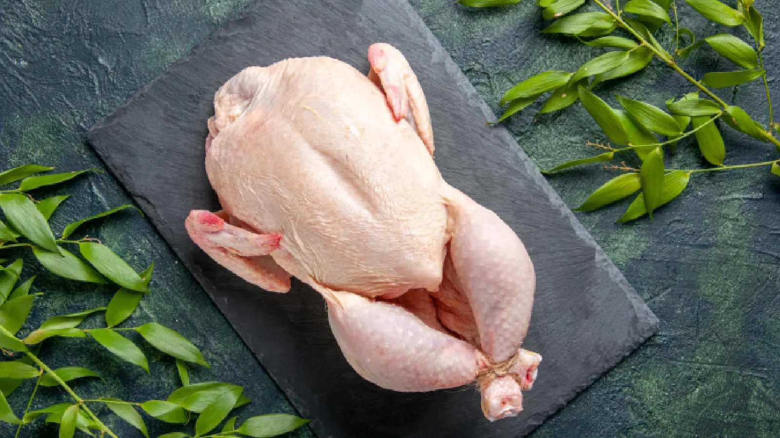 Should we eat chicken during Bird Flu or not? Know what will happen if you eat chicken