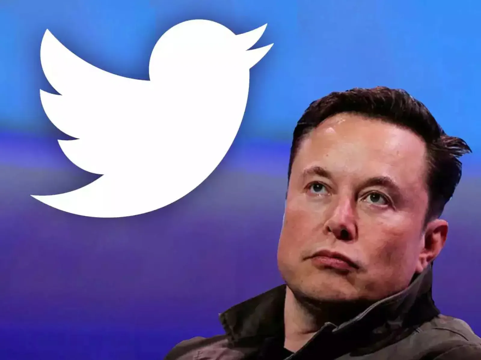 Elon Musk has his eyes on this viral app of Twitter, deal can happen at any time